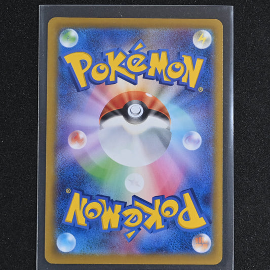 Pokemon TCG Squirtle 290/S-P Pokemon GO Japanese Promo Card NM