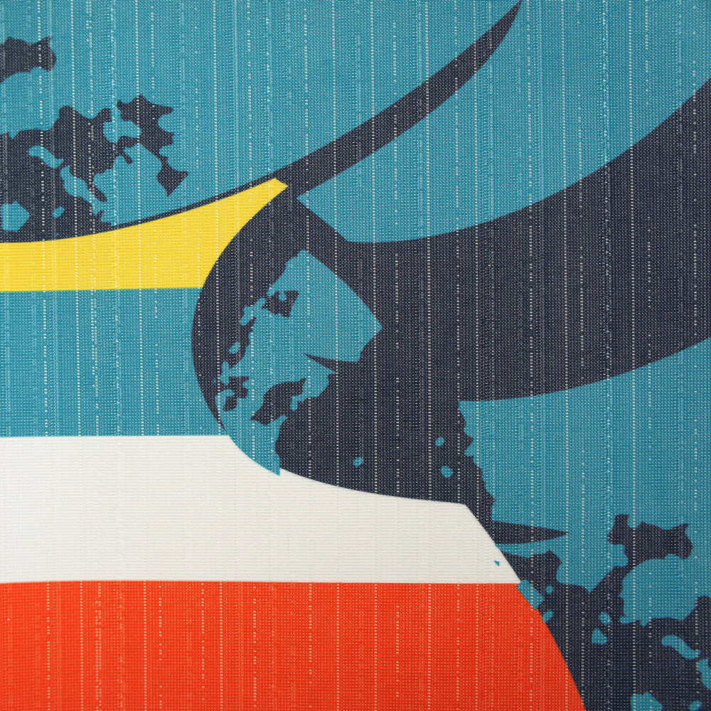 Disney HOWDY Goofy Door Curtain Made in Japan