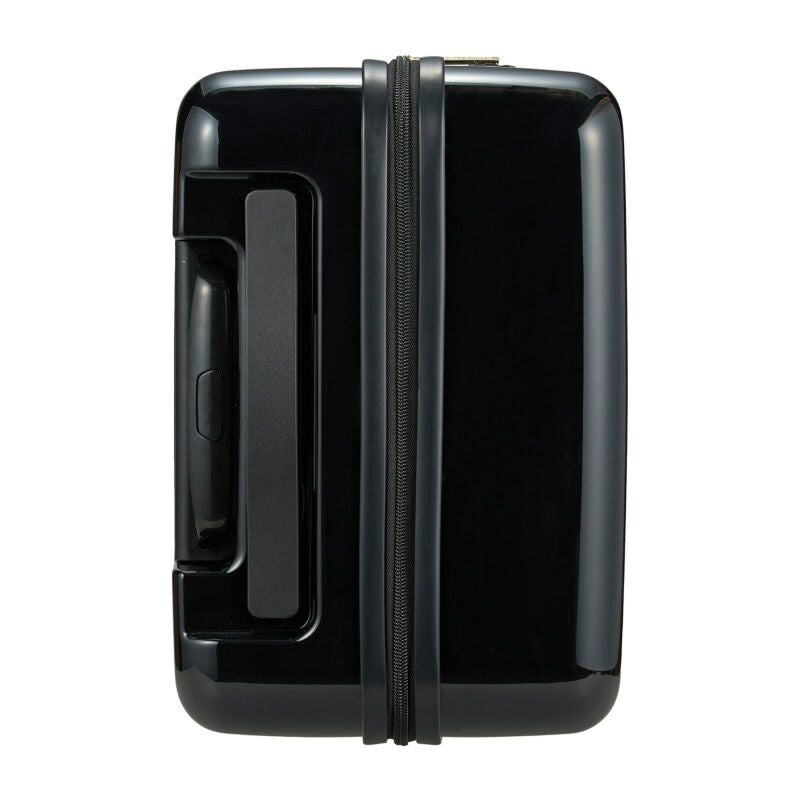 Siffler Sanrio Characters Luggage