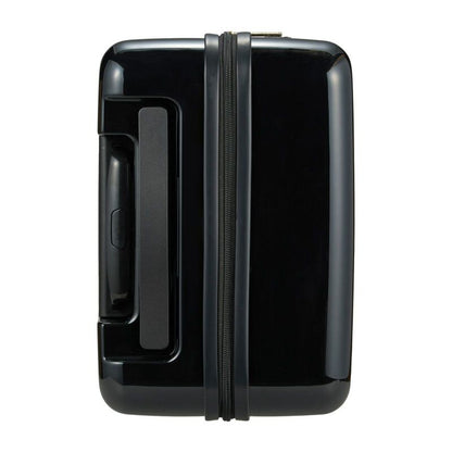 Siffler Sanrio Characters Luggage