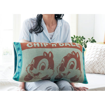 Disney Characters Pillow Case