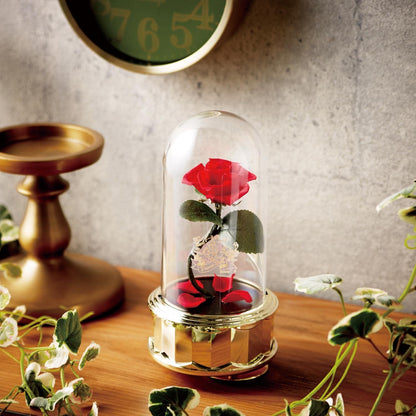 Beauty and the Beast Dome Rose Music Box with Preserved Flowers