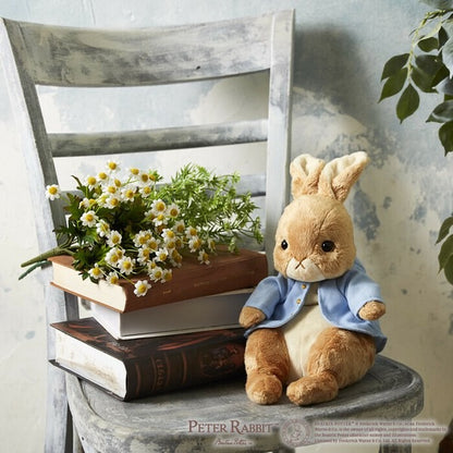 Peter Rabbit Plush Toy Let's Play!