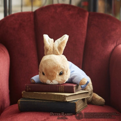 Peter Rabbit Plush Toy Let's Play!