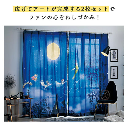 Disney Characters Window Screens 2-Pack