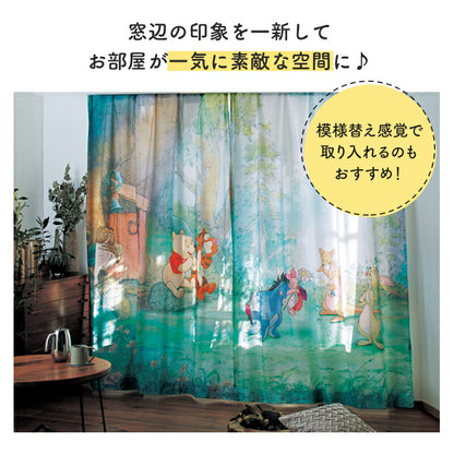 Disney Characters Window Screens 2-Pack