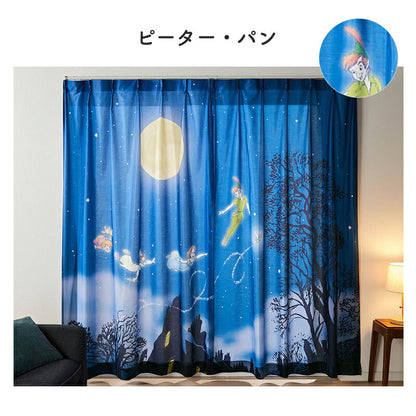 Disney Characters Window Screens 2-Pack