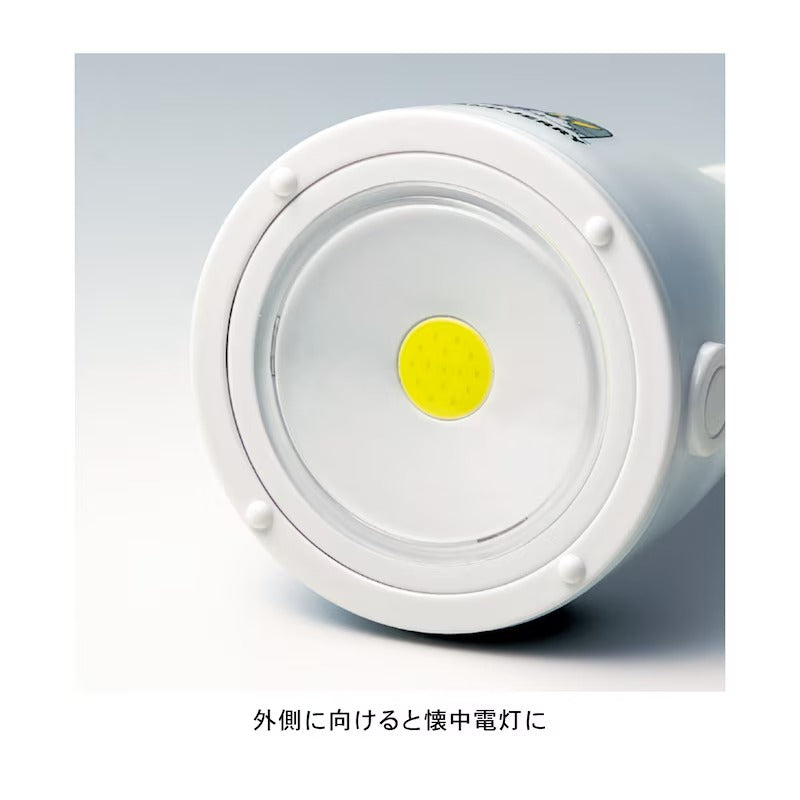 Tom and Jerry Indoor and Outdoor Universal Lighting