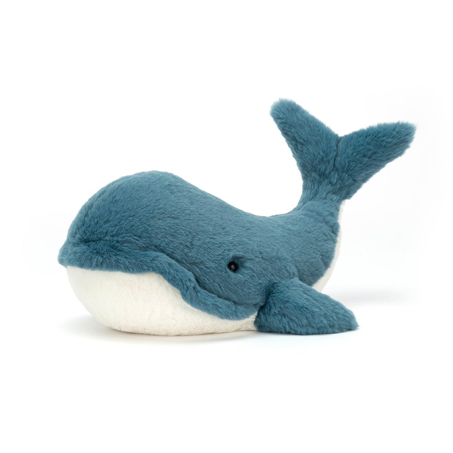 Wally Whale