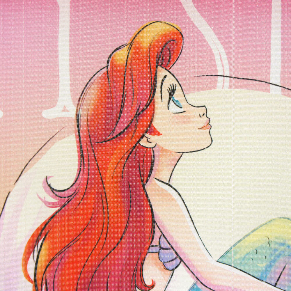 Disney MY DREAM MY STORY Door Curtain Made in Japan