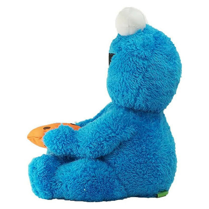 GUND Sesame Street Peekaboo Cookie Monster