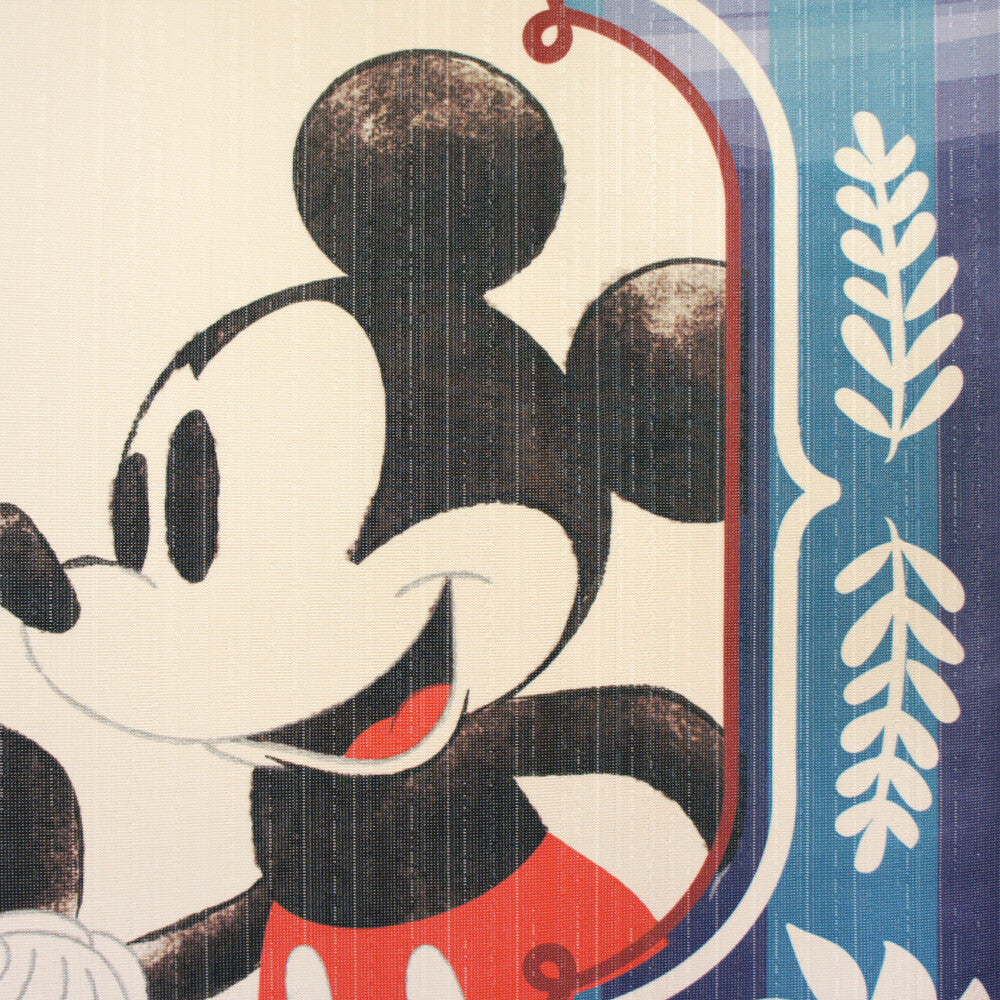 Disney MYSTIC FOREST Door Curtain Made in Japan