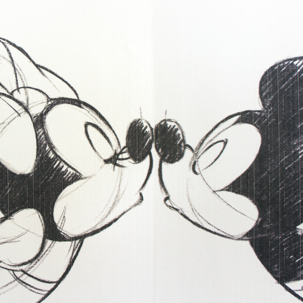 Disney Mickey & Minnie Door Curtain Made in Japan