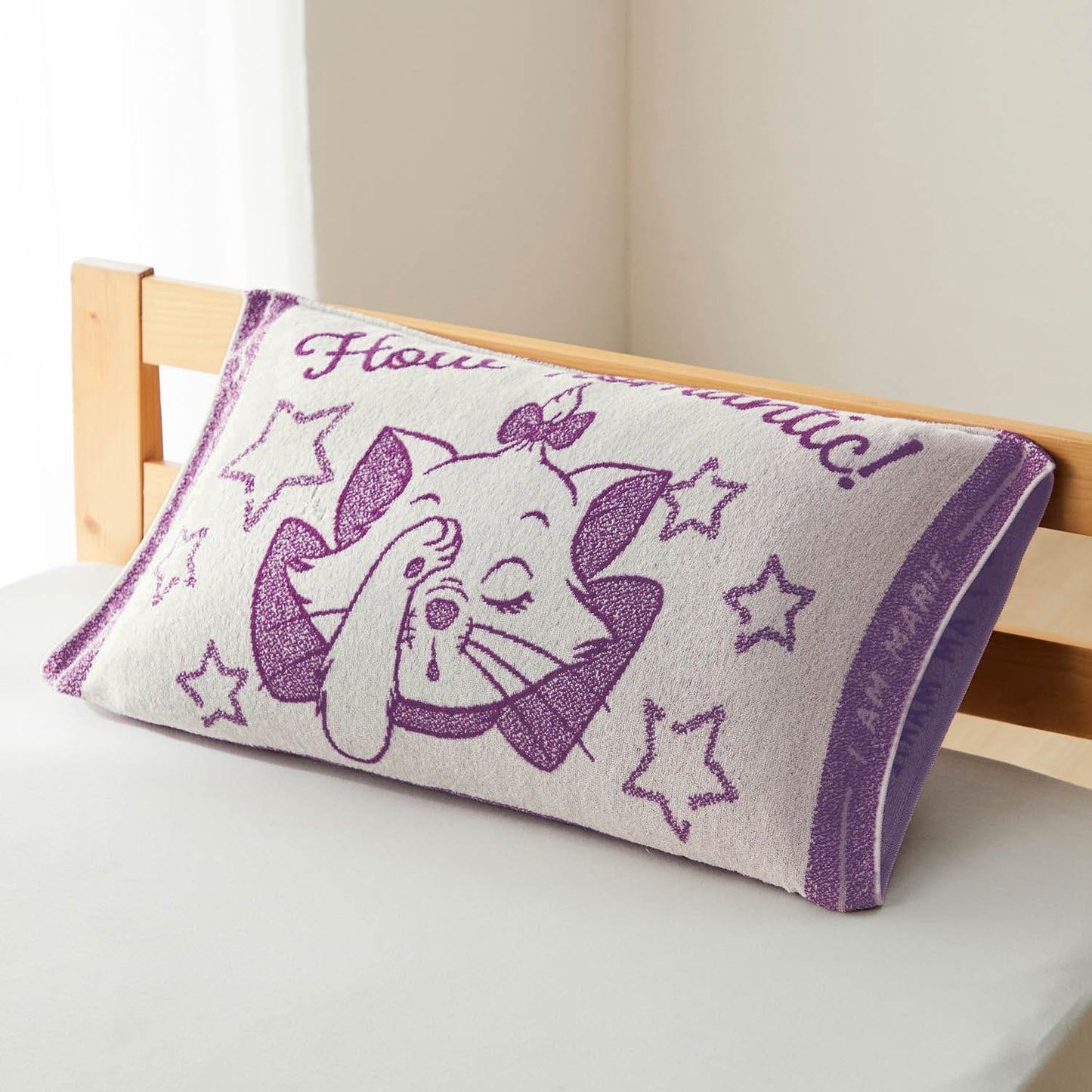 Disney Characters Pillow Case