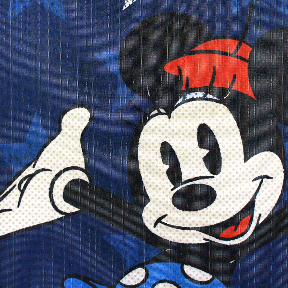Disney AMERICANA Door Curtain Made in Japan