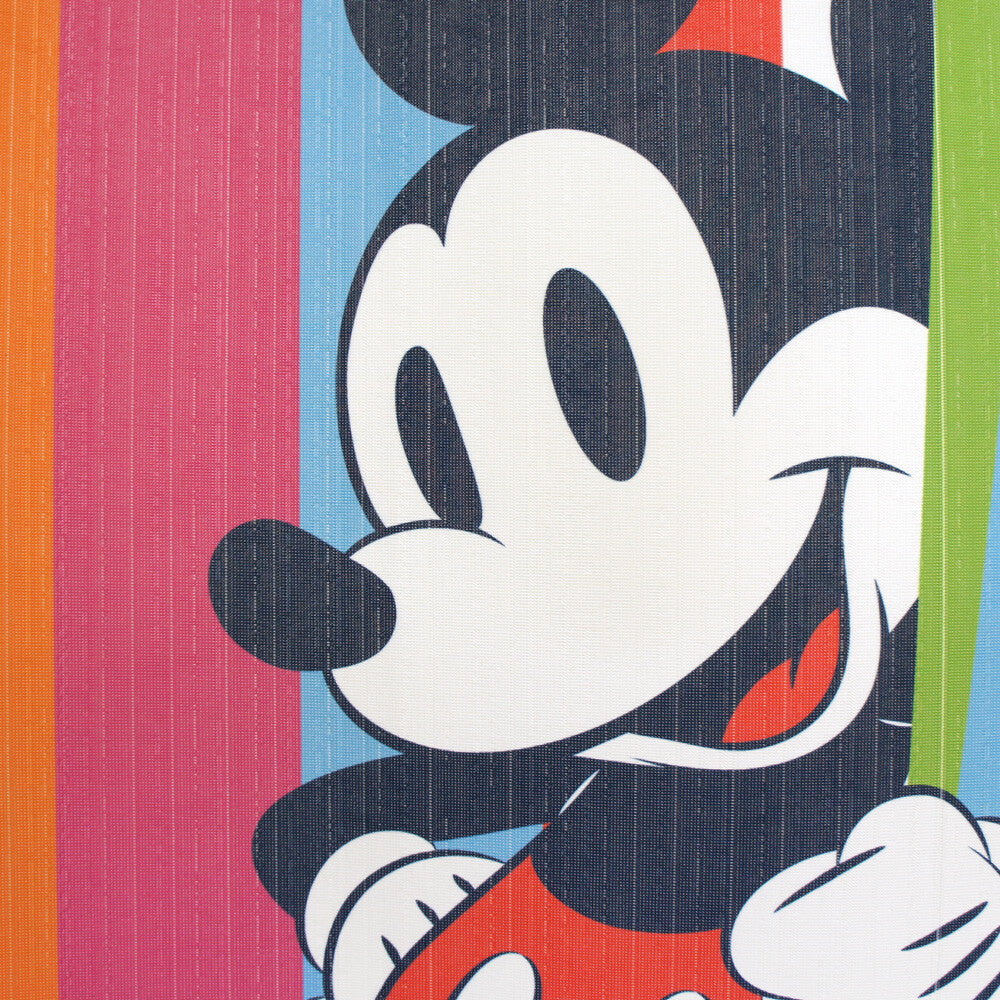 Disney Colourful Door Curtain Made in Japan