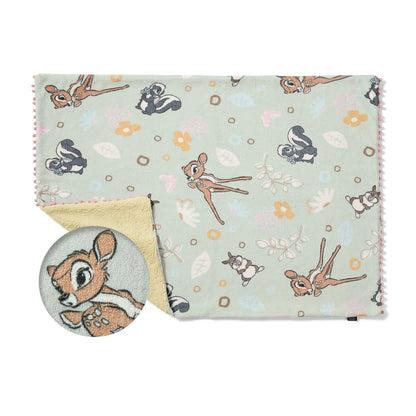 Disney Characters Microfiber Blanket