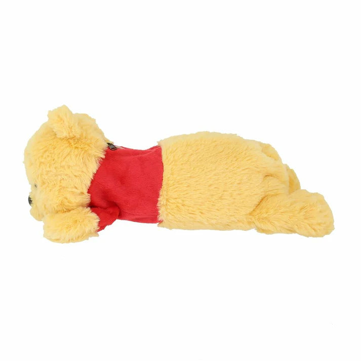 Winnie the pooh Face Pencil Case