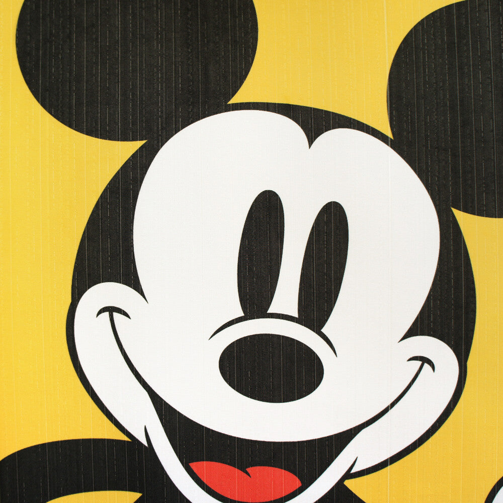 Disney BIGMICKEY Door Curtain Made in Japan