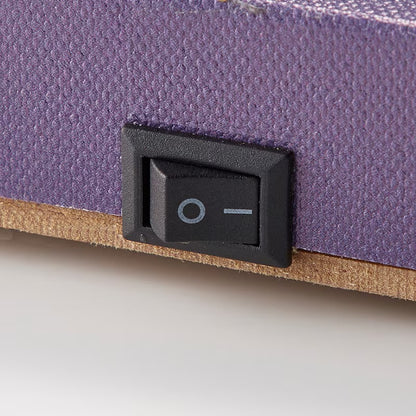 Tom and Jerry Illuminated Canvas Art Panel