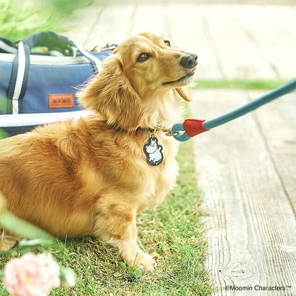 Moomin Color Pet Collar & Leash